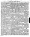 Belfast Weekly Telegraph Saturday 25 March 1876 Page 5