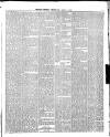 Belfast Weekly Telegraph Saturday 01 April 1876 Page 3