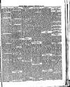 Belfast Weekly Telegraph Saturday 02 February 1878 Page 5