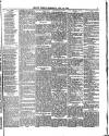 Belfast Weekly Telegraph Saturday 22 June 1878 Page 7