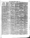 Belfast Weekly Telegraph Saturday 14 September 1878 Page 7