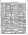 Belfast Weekly Telegraph Saturday 02 November 1878 Page 5