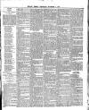 Belfast Weekly Telegraph Saturday 02 November 1878 Page 7