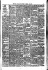 Belfast Weekly Telegraph Saturday 31 January 1880 Page 7