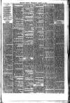 Belfast Weekly Telegraph Saturday 06 March 1880 Page 7