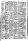 Belfast Weekly Telegraph Saturday 12 June 1880 Page 7