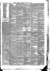 Belfast Weekly Telegraph Saturday 12 March 1881 Page 7