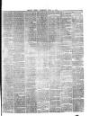 Belfast Weekly Telegraph Saturday 17 April 1886 Page 7