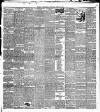 Belfast Weekly Telegraph Saturday 30 June 1894 Page 7