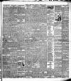 Belfast Weekly Telegraph Saturday 18 August 1894 Page 7