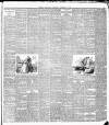Belfast Weekly Telegraph Saturday 17 November 1894 Page 5