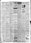 Belfast Weekly Telegraph Saturday 11 July 1914 Page 11