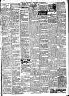 Belfast Weekly Telegraph Saturday 26 June 1915 Page 5