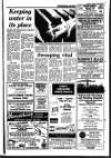 Newark Advertiser Friday 09 January 1987 Page 49