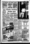 Newark Advertiser Friday 12 January 1990 Page 17