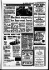 Newark Advertiser Friday 10 February 1995 Page 33