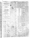 Aberystwyth Observer Saturday 20 September 1873 Page 3