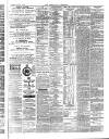 Aberystwyth Observer Saturday 10 January 1874 Page 3