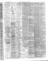 Aberystwyth Observer Saturday 07 February 1874 Page 3