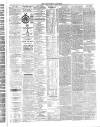 Aberystwyth Observer Saturday 14 February 1874 Page 3