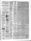 Aberystwyth Observer Saturday 14 March 1874 Page 3