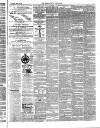 Aberystwyth Observer Saturday 11 April 1874 Page 3