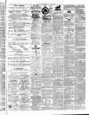 Aberystwyth Observer Saturday 25 April 1874 Page 3