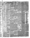 Aberystwyth Observer Saturday 21 November 1874 Page 3