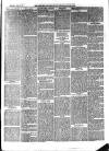 Aberystwyth Observer Saturday 19 January 1878 Page 3