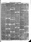 Aberystwyth Observer Saturday 14 February 1880 Page 3