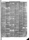 Aberystwyth Observer Saturday 28 February 1880 Page 7
