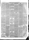 Aberystwyth Observer Saturday 17 April 1880 Page 3