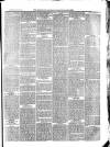 Aberystwyth Observer Saturday 03 July 1880 Page 3