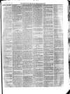 Aberystwyth Observer Saturday 03 July 1880 Page 7