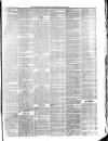 Aberystwyth Observer Saturday 30 October 1880 Page 7