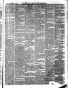 Aberystwyth Observer Saturday 11 February 1882 Page 5