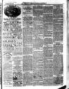 Aberystwyth Observer Saturday 11 February 1882 Page 7