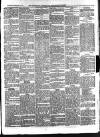 Aberystwyth Observer Saturday 09 February 1884 Page 5