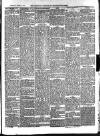 Aberystwyth Observer Saturday 15 March 1884 Page 5