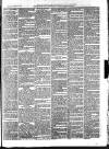 Aberystwyth Observer Saturday 15 March 1884 Page 7