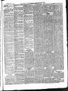 Aberystwyth Observer Saturday 10 January 1885 Page 3