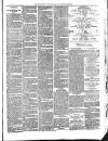 Aberystwyth Observer Saturday 02 April 1887 Page 3