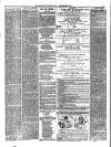 Aberystwyth Observer Saturday 08 November 1890 Page 2