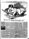 Aberystwyth Observer Thursday 04 February 1892 Page 3