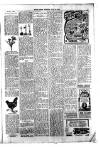 Abingdon Free Press Friday 12 July 1912 Page 7