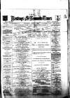 Hastings & St. Leonards Times Saturday 01 June 1878 Page 1