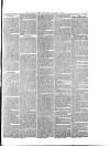 Hull Daily News Saturday 03 April 1852 Page 7