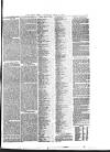 Hull Daily News Saturday 17 July 1852 Page 5