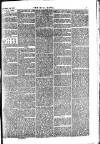 Hull Daily News Saturday 26 November 1853 Page 7