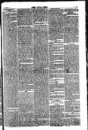 Hull Daily News Saturday 03 November 1860 Page 3